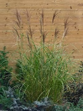 4bcec7a5bd4b51d6cd9d9c35699ee258