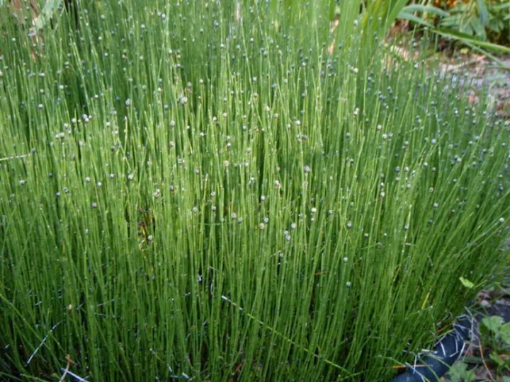 4bd169516cca71dd9abf3d52d9e0f9cf