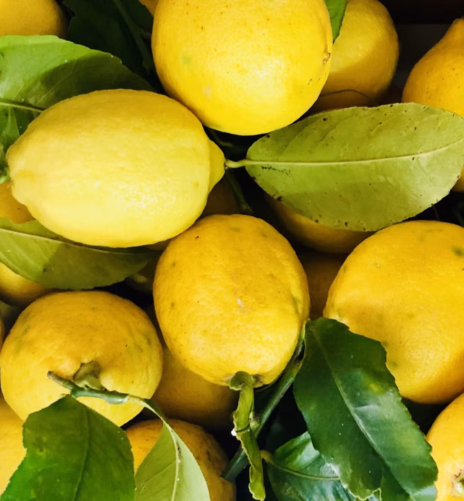 4c384f60dda997253ec29f88468761ad