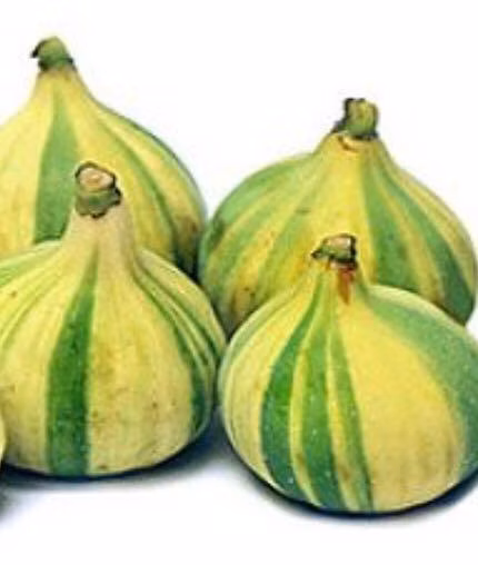 4c4759f144f822f0aa26d2cad7cd03cf