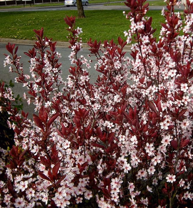 4cb1f43bff49a162b281ccd92b0e167d