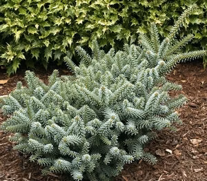 4ce700e2f846aaf535baaadb03953974