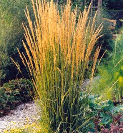 4d1b986bbdebd7b46fe529d7fa532d2b