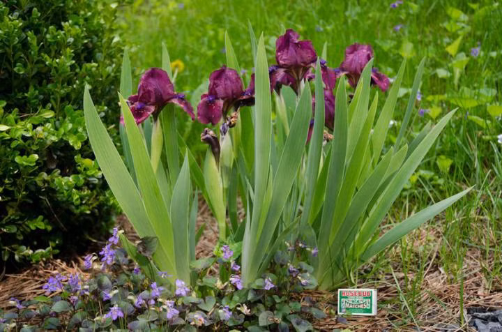 4d1f8d7130f0012cf9e7ccbd09097b63