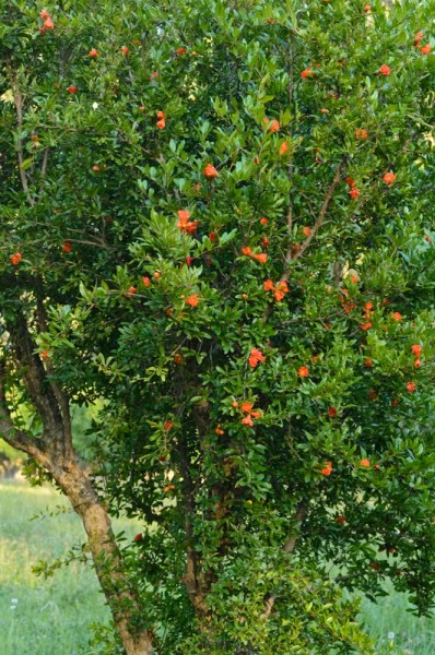 4d2819fcc2d73485850da0e331798fee