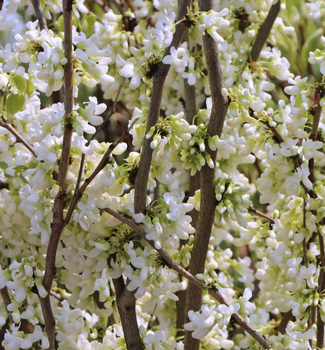 4d59010dc82de9623c3737e049cca32d