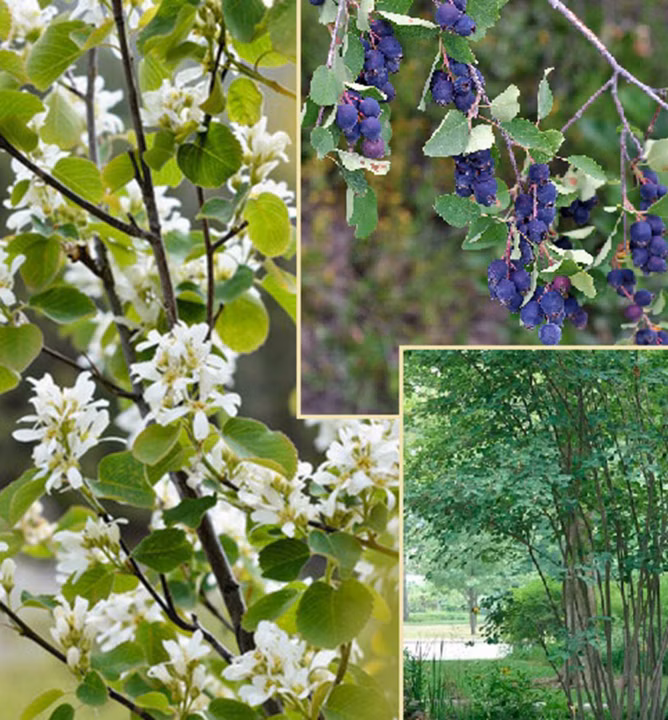 4d5db06b0fb5b4329eb4c3f90a5630b0