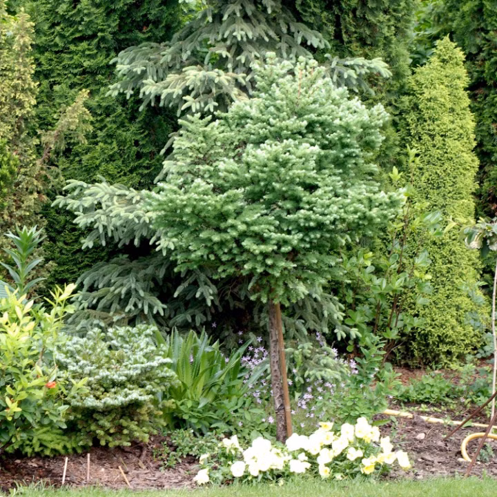 4d60c18d4b0e79188faebbeeaf7f738e