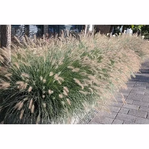 4d744db2f5a9950bd930983cc6d7c2fb