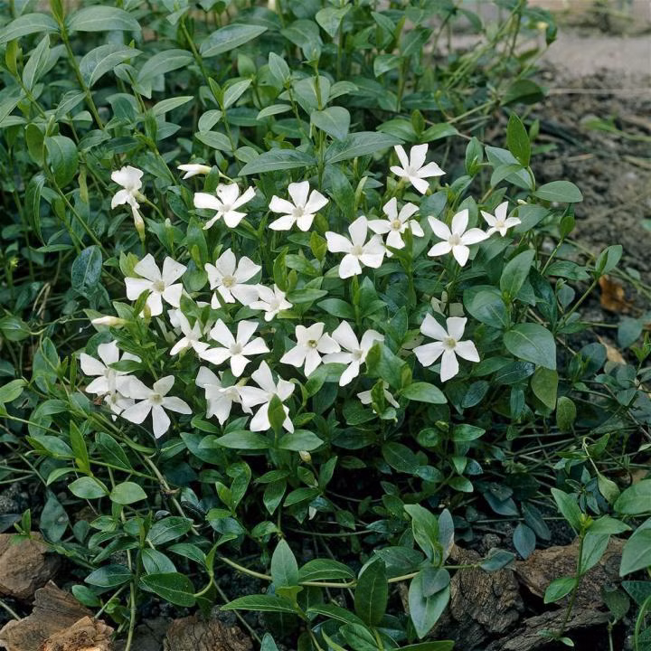 4dbd4ec80342c3f5d96ac78de0046dd6