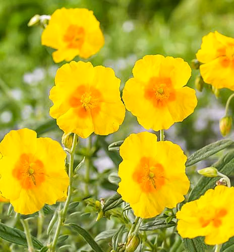 4de63a983b66e6ea135a9cdd09215deb