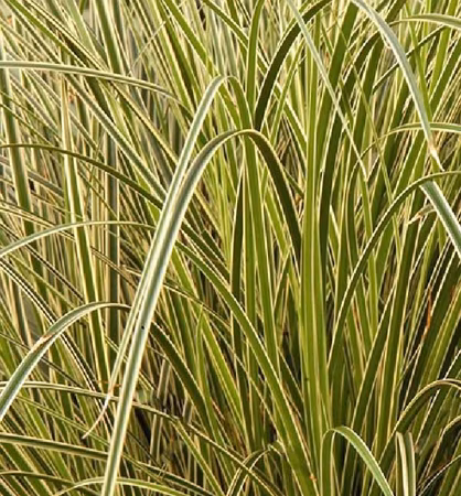 4e21a4bf57dacd281a59630e0f3e735f