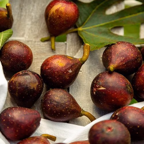 4e9394d2b5ed47ecf48af9fdd5c629cb