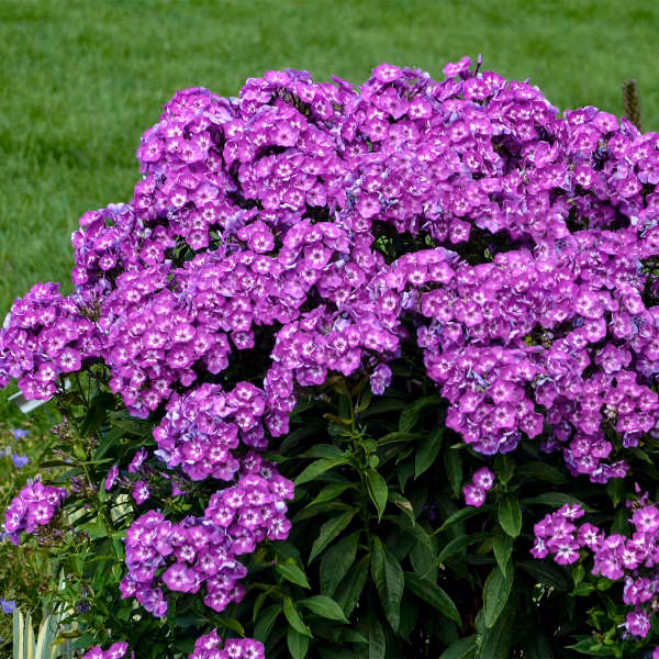 4ea8d8aac4a205cf457a6e837888c110