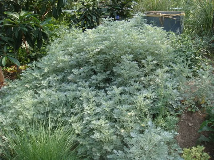 4ed9565f330e34f0996e88a997826fe8