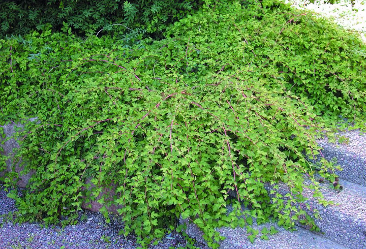 4ee0ce82ce29fbf9d1e2af77e6ed2987