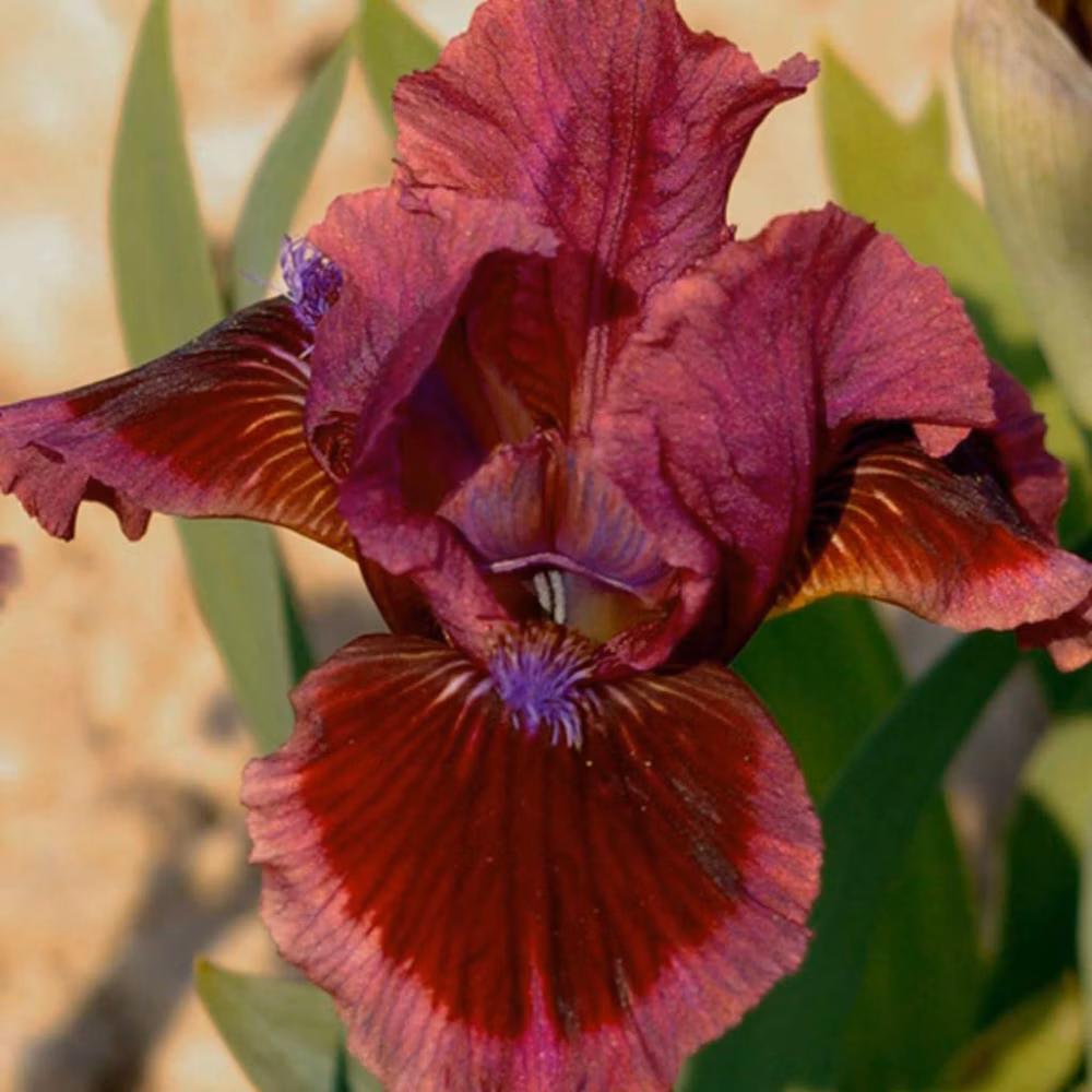 4ee74b5dcb24cc084d7ece247c0f958a