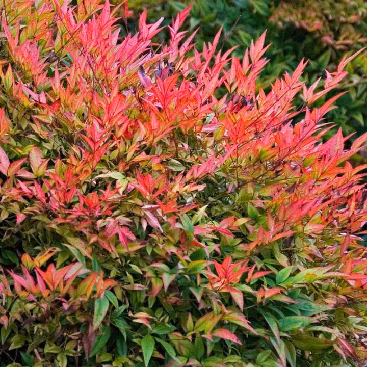 4ee83fb5f4d7b67a59b5d36f5ffc714e