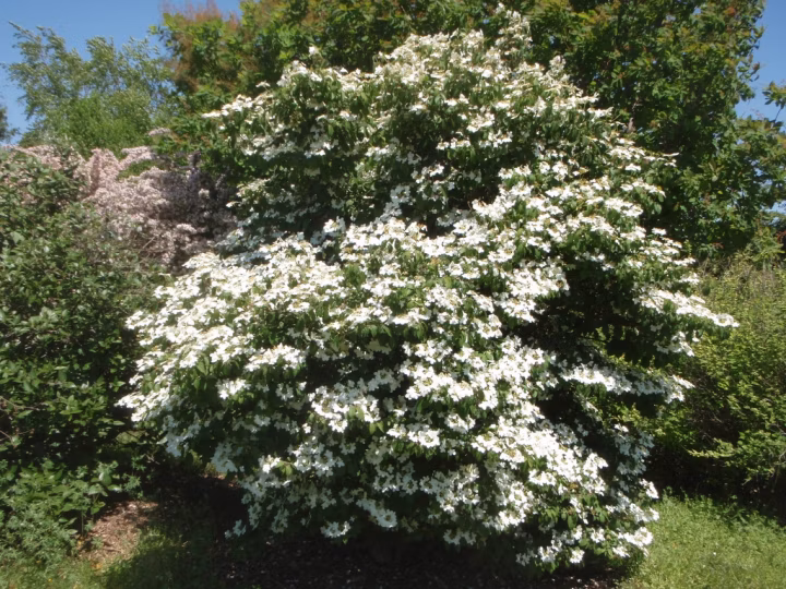 4f01c9d96d671180f22c4ab8aebfea3b