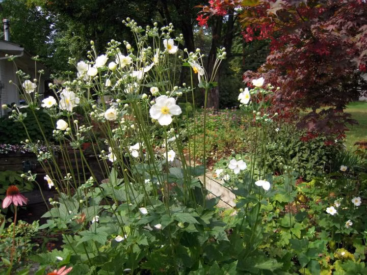 4f0b6eda1b8584591d69875a338e37b1