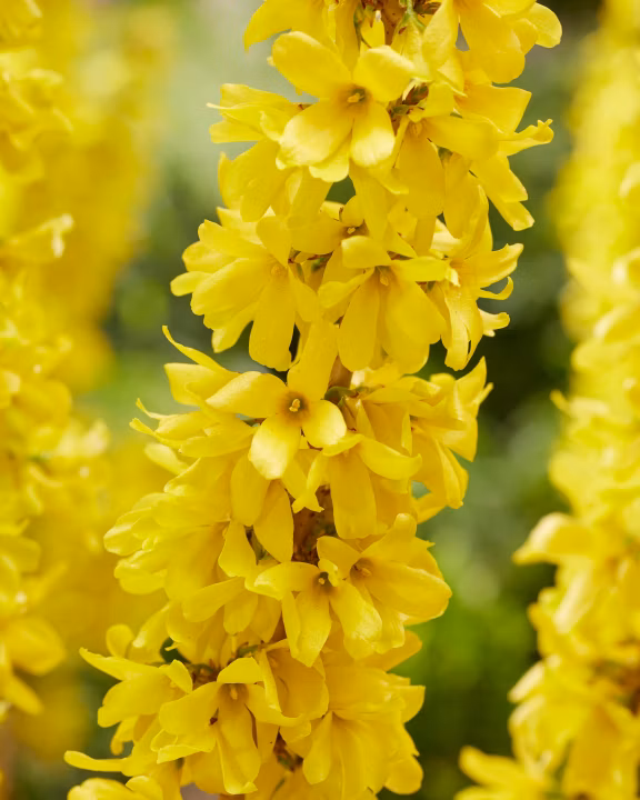 4f106514eb1793567ee74c2d23ad713c