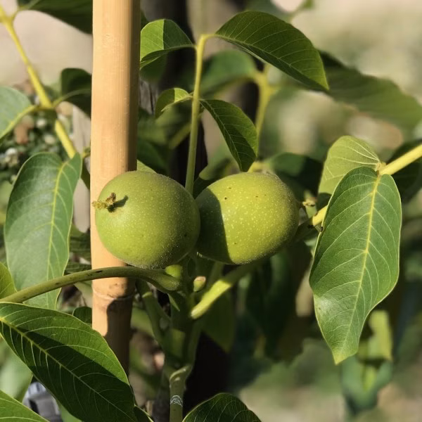 4f12b92f04f585ebea9d194b5e91936c