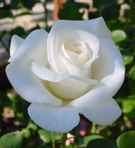 4f1f4bc6f2e3245013fc2d15b2ddf41f