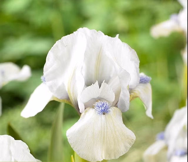 4f38d86a58237c0634e11ab983ccd0a1