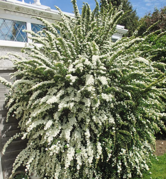 4fbf5f66a669682f96c7d8f2f36bc32e