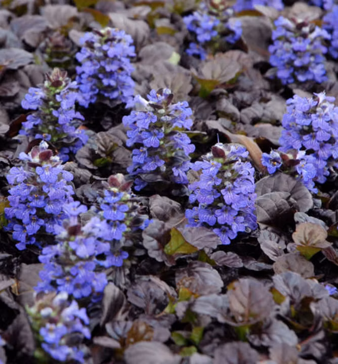 4fdeba0e048f3be6ee728042be178abc