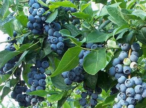 4fe3f700130a0c4082f5356888243246