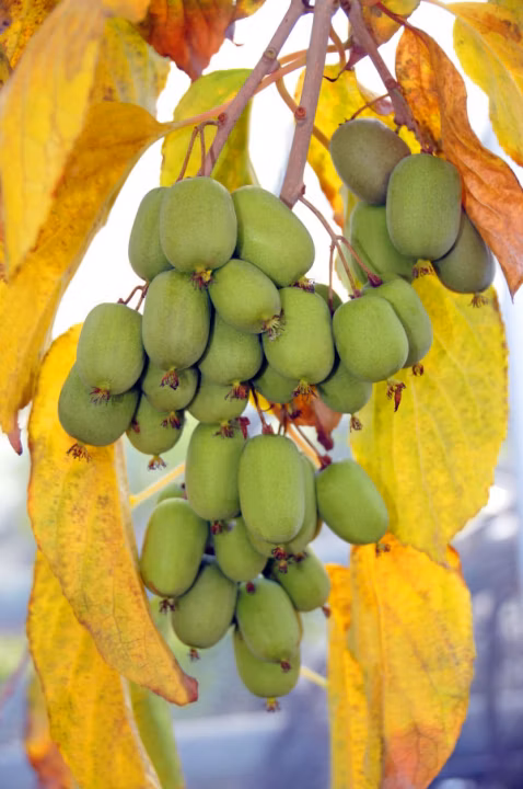 502803c2fee24ad4d8f8b24ca9b7367c