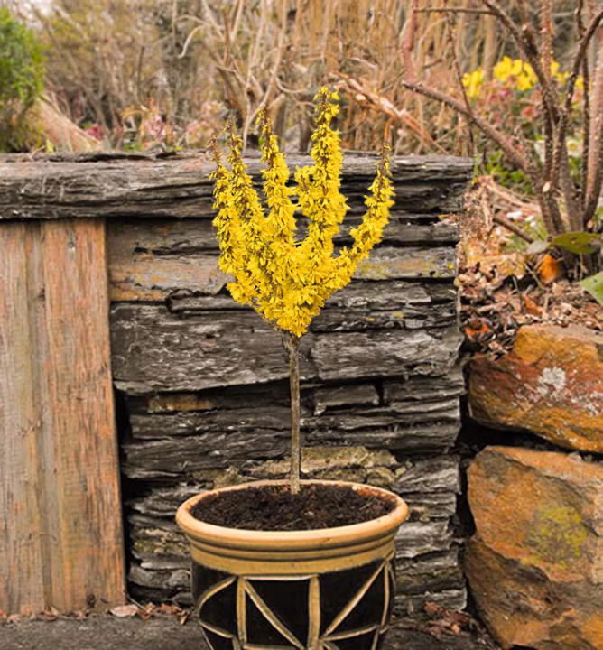 505c2b70401103c937a3aee9f45290dd