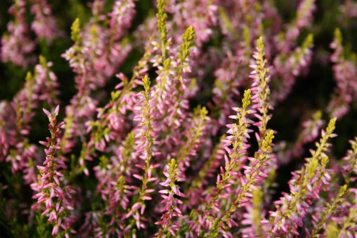 506819c26a36edfe0a7580252076208d