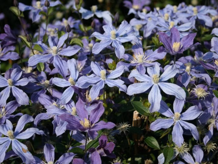 50cd1124d03ed7a50f3a2eba861092d7