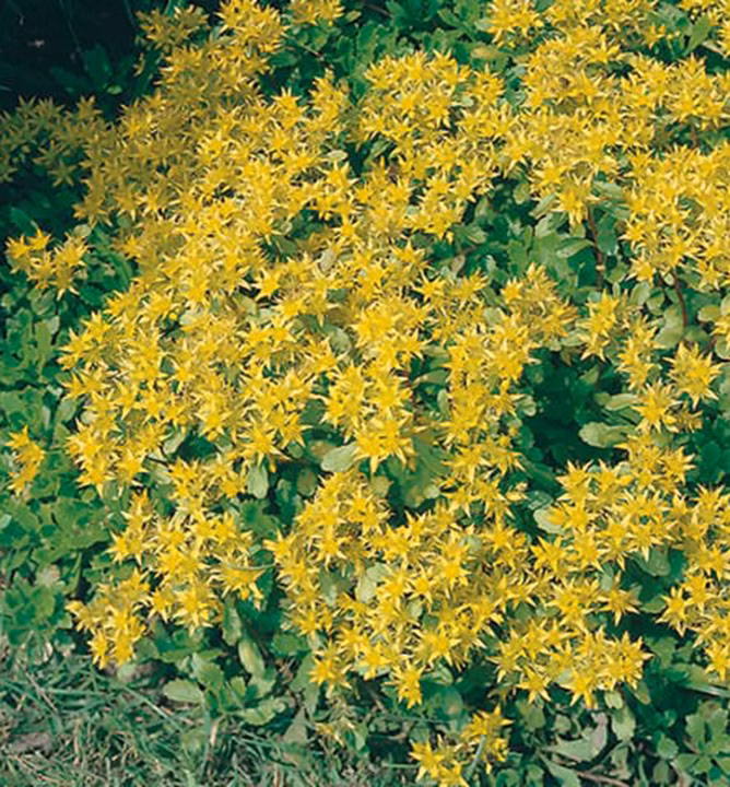 519da1fd2e1377bda5374c8bd868ad26