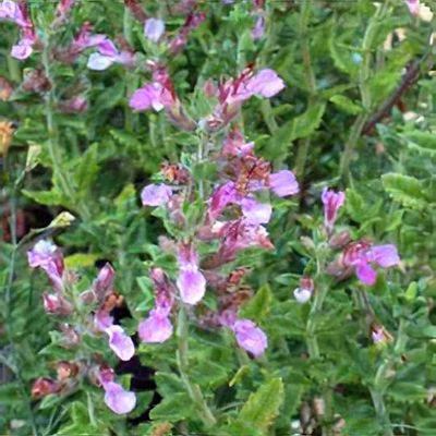 51a002b3d9b062bb5b425c9972aedd8d