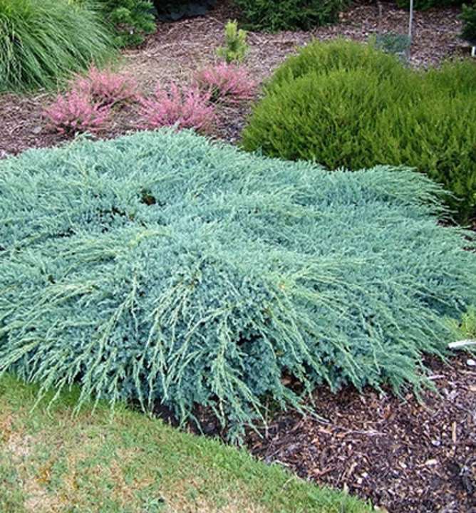 51a49ad64c4d32c3b49e97a533c8a89c