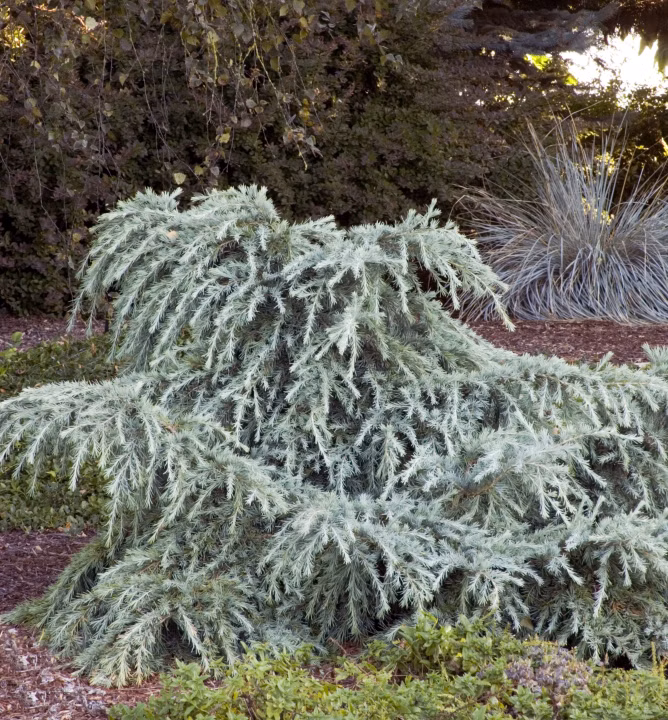 51be1ea8a12363d85411d3d4790c8951