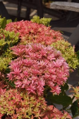 51da058dcf83571d6bc1b2e1327c311b