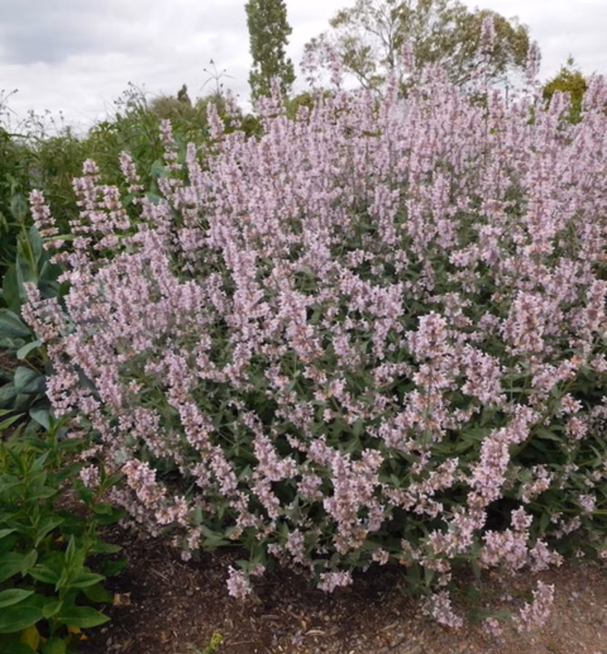 52617e053a3a0e8ef3d2cbda7f0f5316