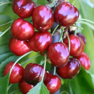 526be5888eb18f308d21458ec21a3caa