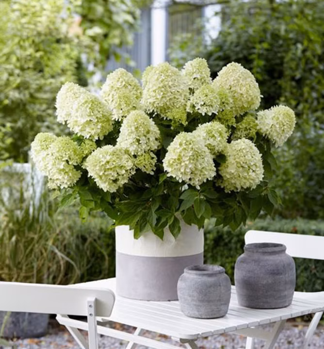 527bad77f663091e0a84efed0c2a4485