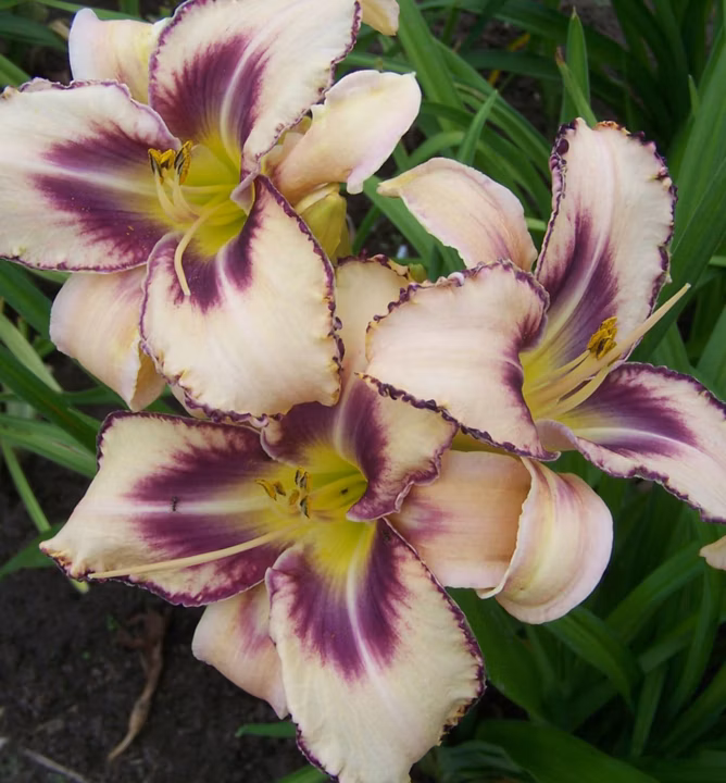 52841adbe086ae91bb6bc69d89603c1e