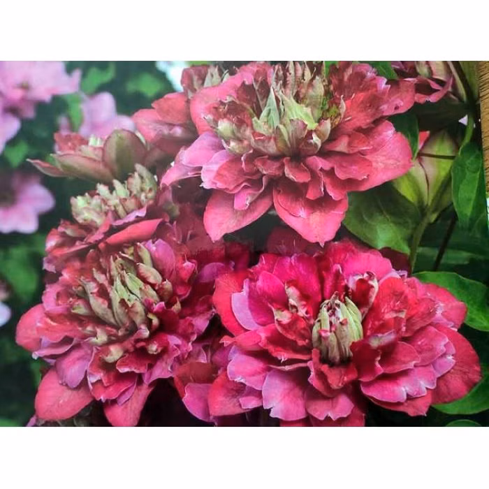 52aa46a778584716751f2f5ee1428277