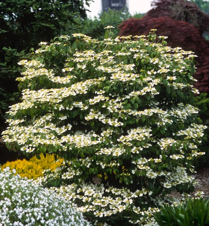 52ccb1bbf46649bc0efcecdf40eeb932