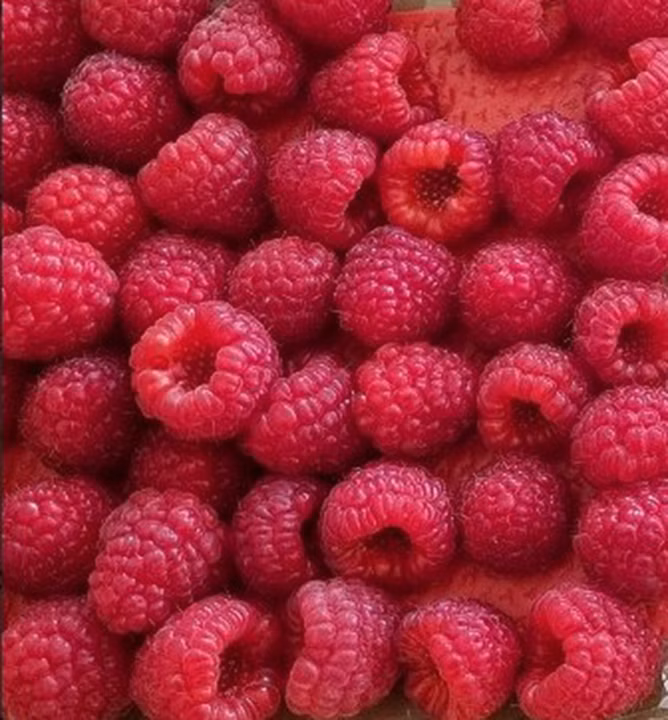 531f104f53948f69710515e7bcfee1b9