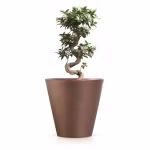 532e3f3d3479b9bff4507c0261b05f08