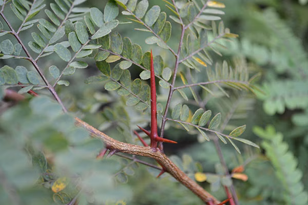 53403cfa931058e53cf1fb1873f18792