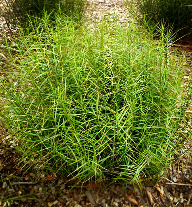 534793e33da35912c2081018d57dedf5